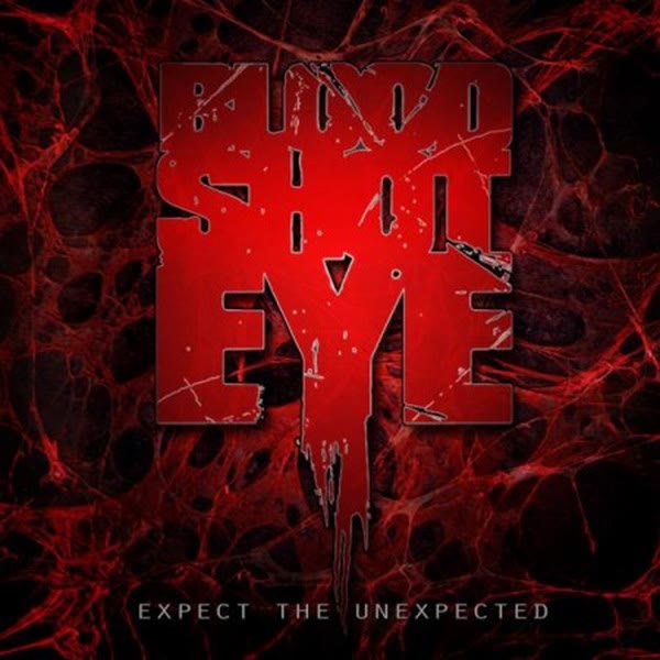 Cover of Expect The Unexpected by Bloodshoteye