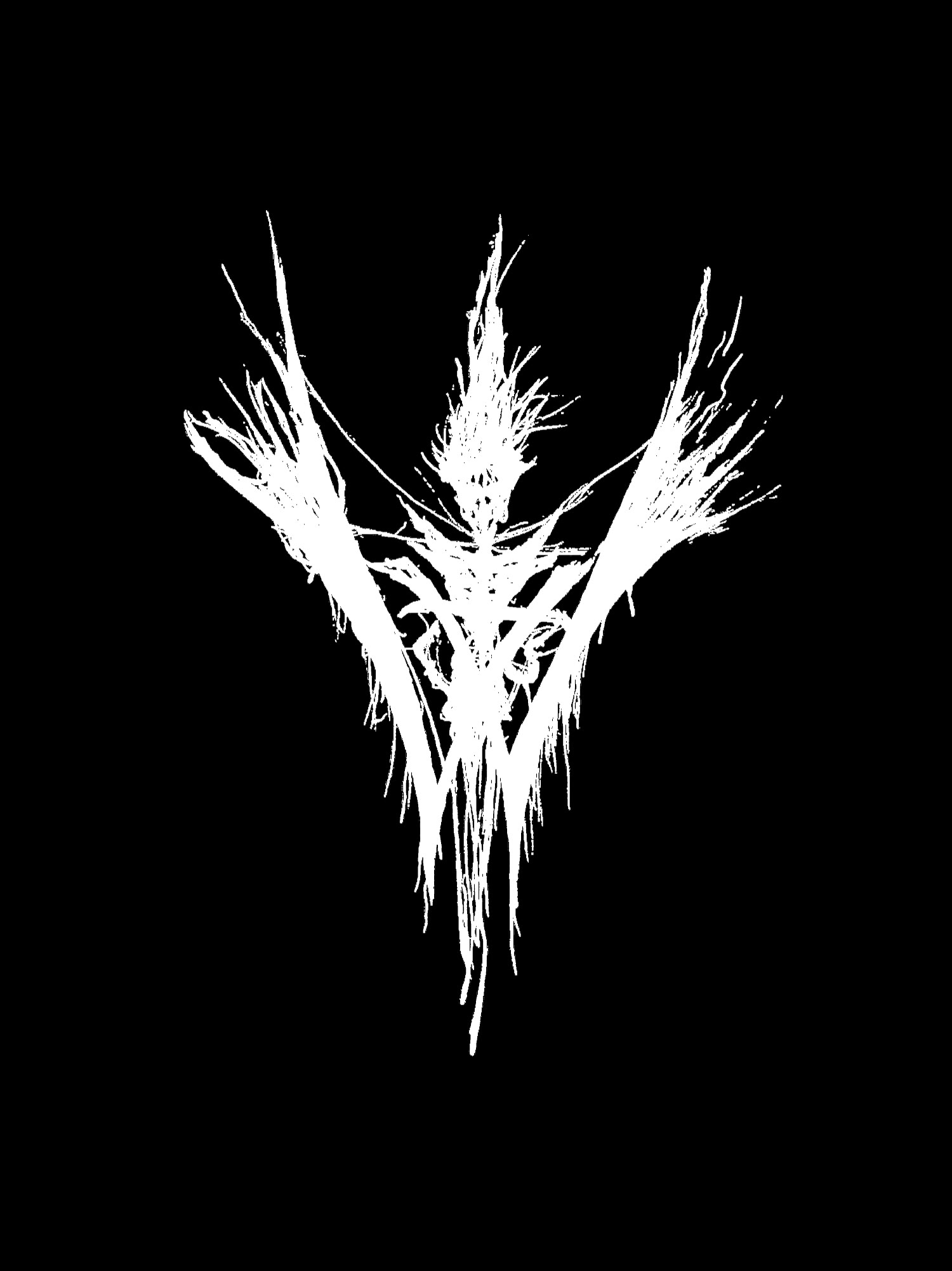 Witch Club Satan performing live
