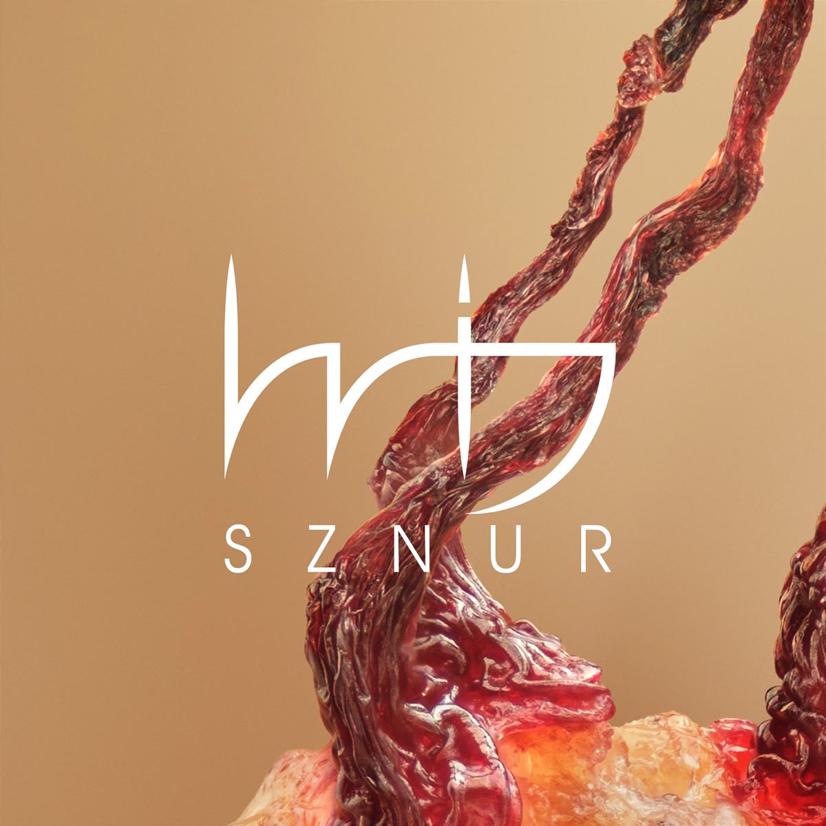 Cover of Sznur by Wij