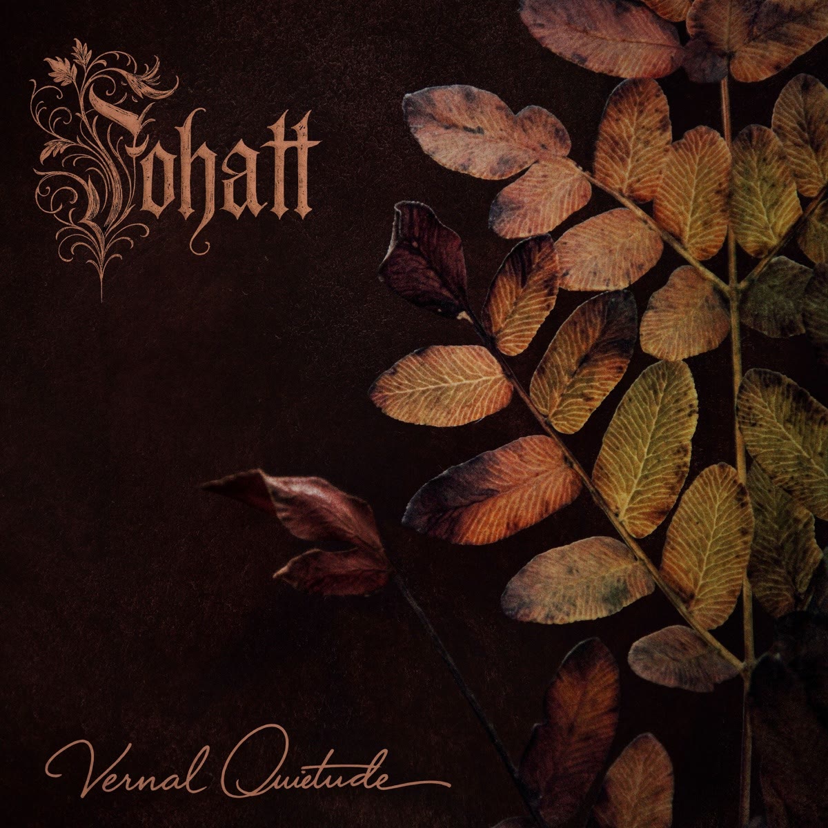 Cover of A Última Luz do Azul by FOHATT