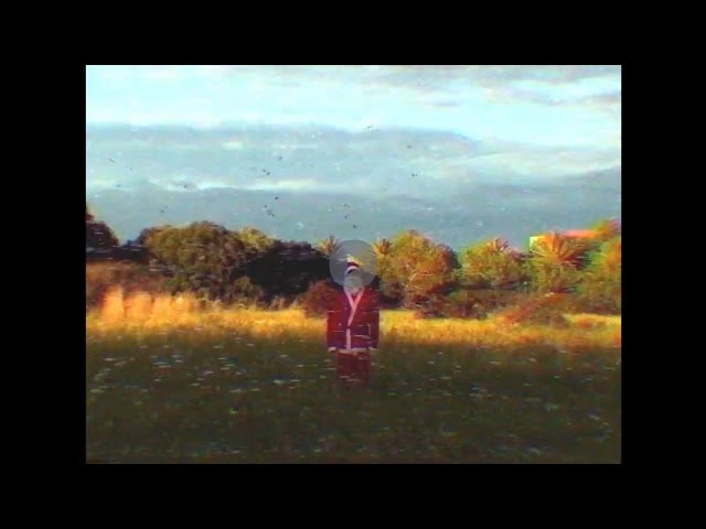 RinRin, from the official video
